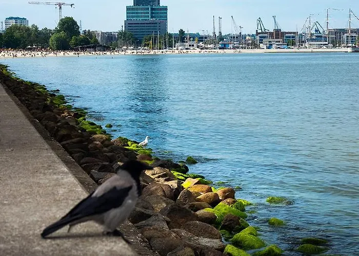 Apartament Osada Kormorana *